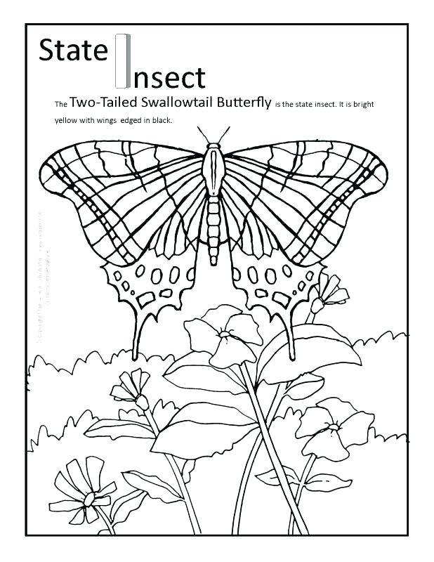 618x800 Pennsylvania State Flag Coloring Page Coloring Pages Flowers