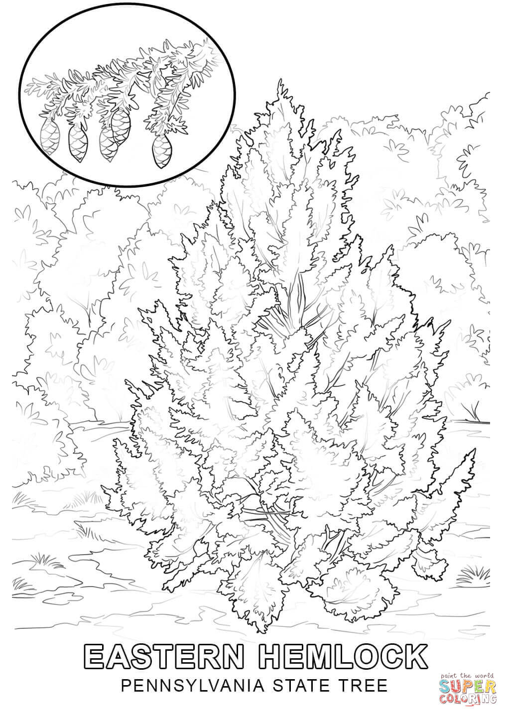 1020x1440 Refundable Pennsylvania State Flag Coloring Page Tree Free