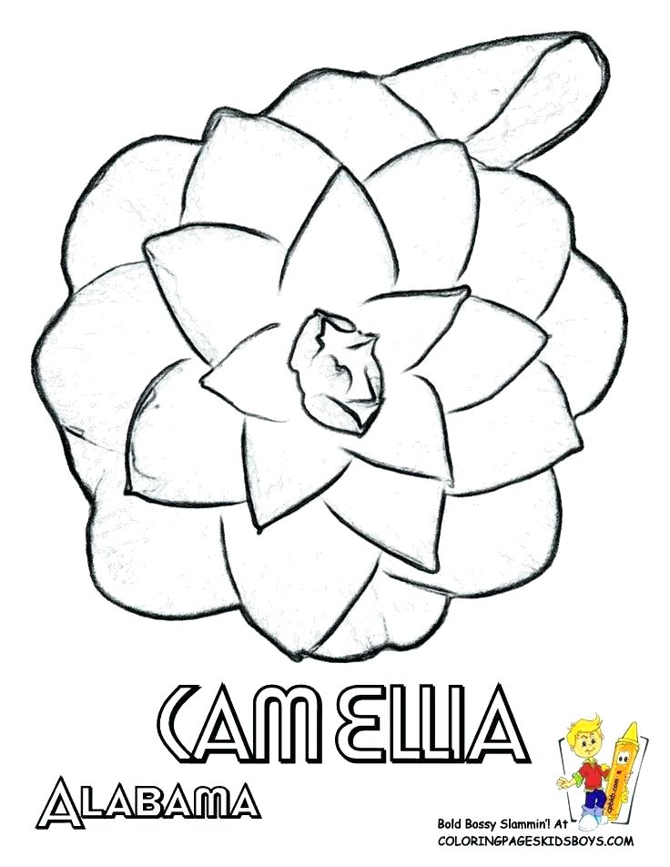 736x952 Penn State Coloring Pages