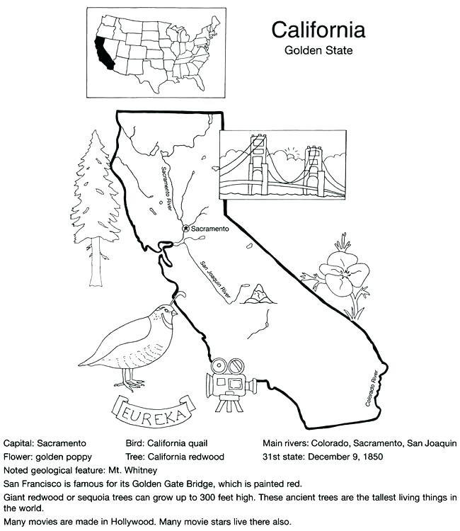 650x750 Pennsylvania State Flag Coloring Page Coloring Pages For Adults