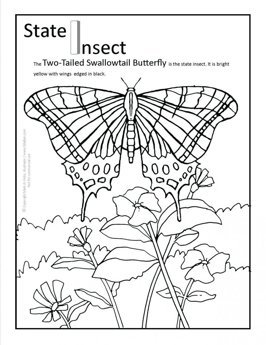 863x1117 Iowa State Flower Coloring Page