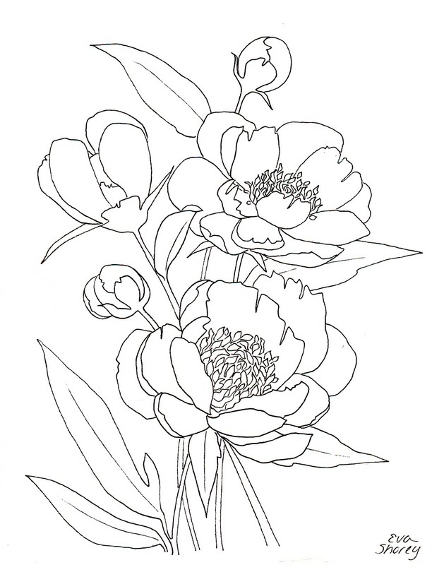 612x800 Eva Shorey Pink Peony Coloring Page (Can Paint For An Inexpensive