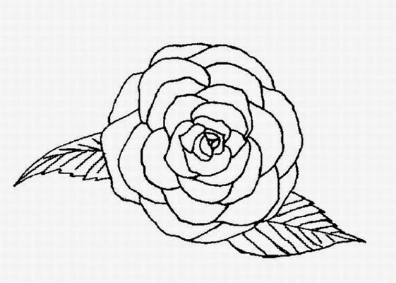 561x400 Flowers Coloring Pages Rose Many Flowers