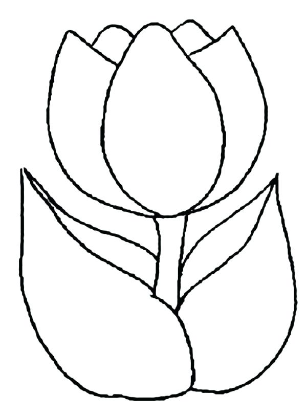 600x811 Tulip Coloring Page Simple Drawings Of Girls Drawing Peony Tulip