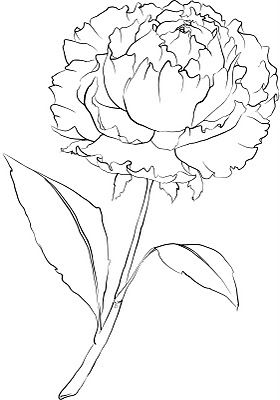 280x400 Beccy's Place Peony Flower Craft Peony Flower