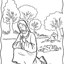 268x268 Adult Coloring Pages Archives