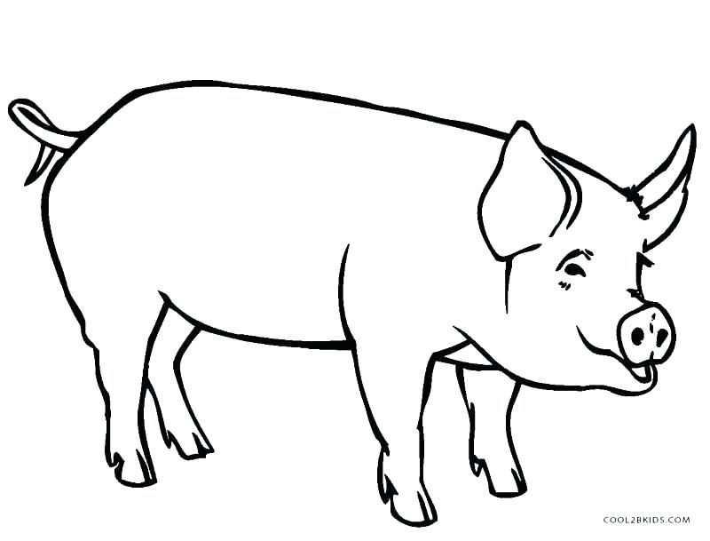 800x609 Peppa Pig Colouring Pages Pdf Pigs Coloring Pages A Beautiful
