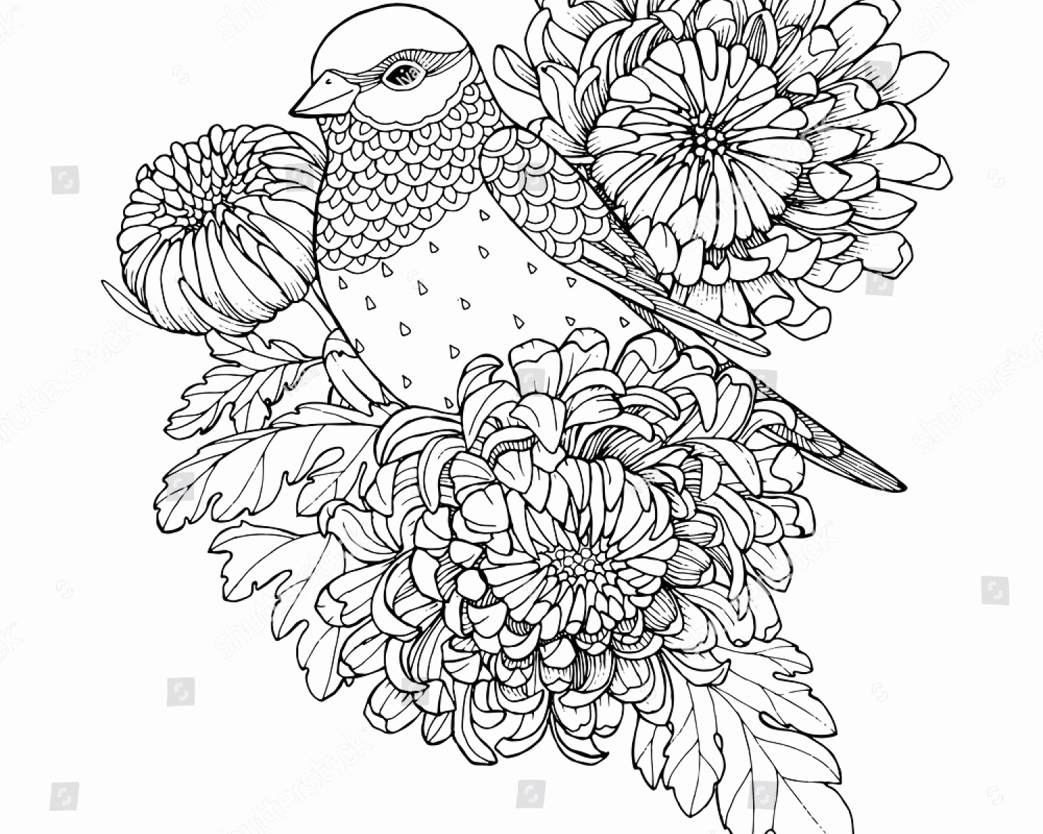 1500x1200 Peppermint Coloring Pages Gallery Free Printable Candy Coloring