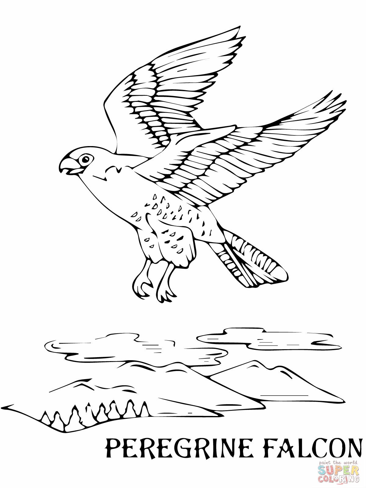 1200x1600 Flying Peregrine Falcon Coloring Online Wilderness Trail Unit