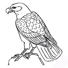236x236 Hawk Amp Falcon Coloring Pages For Kids