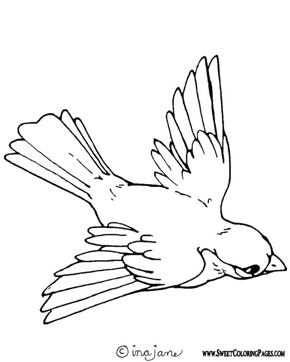 576x720 Peregrine Falcon Coloring Page Bald Eagle Peregrine Falcon Osprey