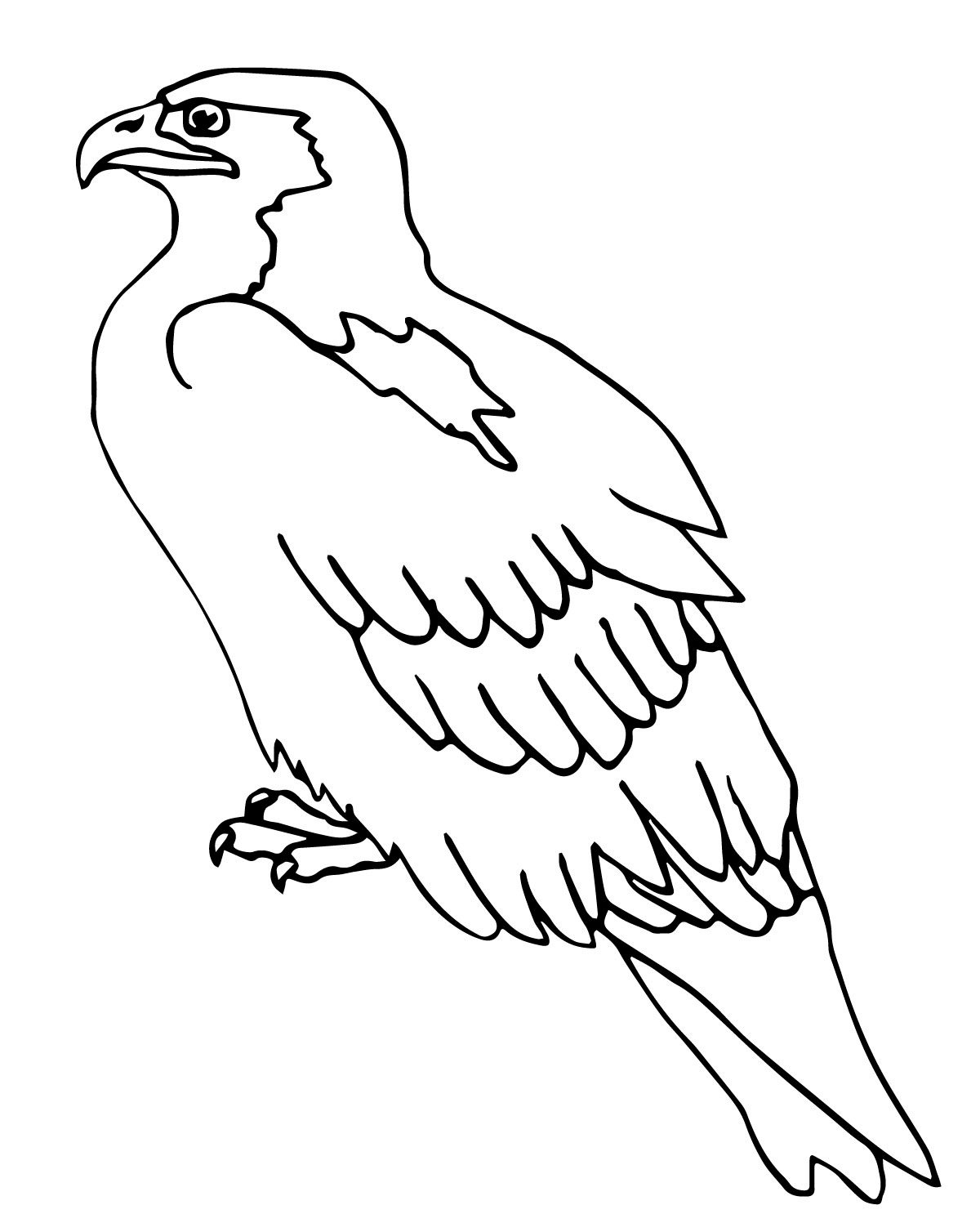 1200x1497 Bird Coloring Pages Perched Falcon Animal Coloring Pages