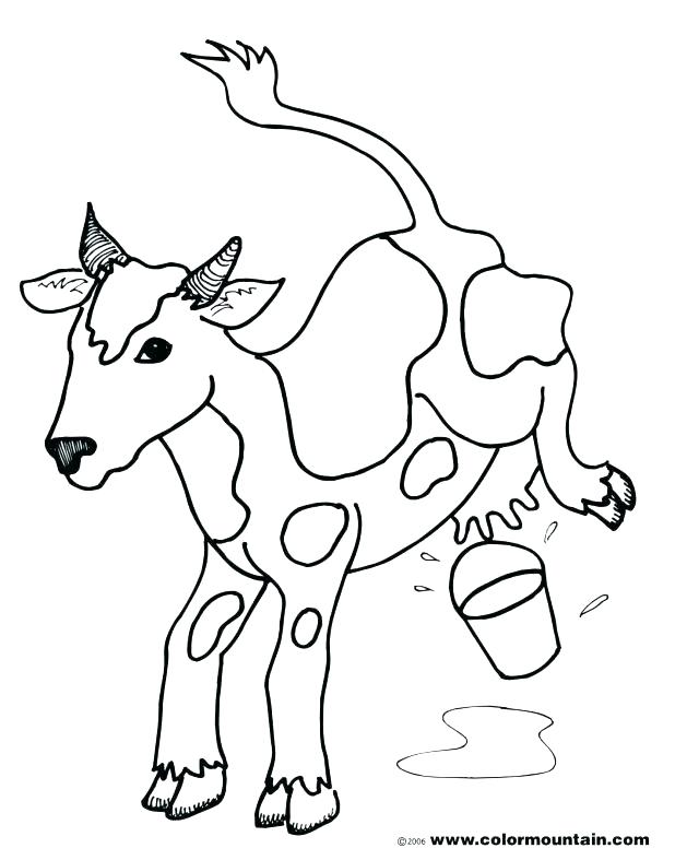 618x787 Cow Coloring Pages Cow Coloring Pages Coloring Pages Printable