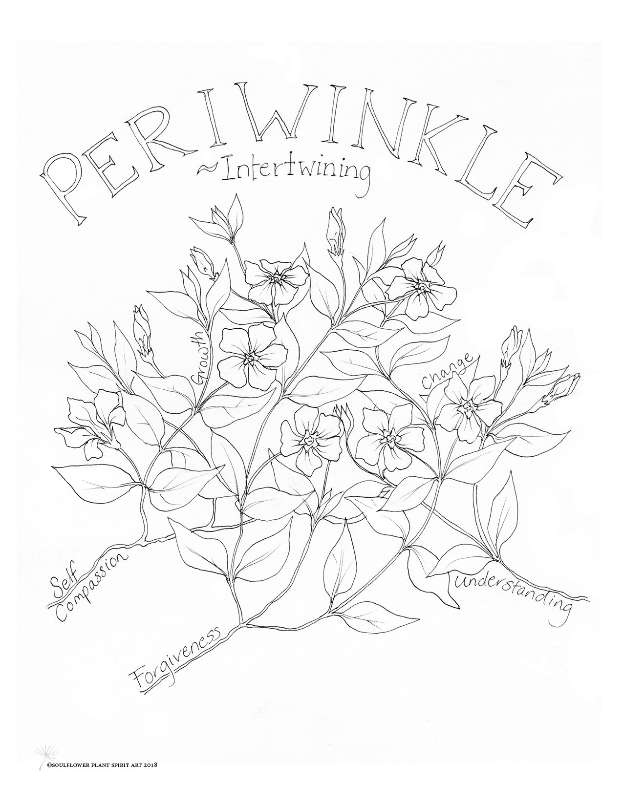 1275x1650 Periwinkle (Intertwining) Coloring Page