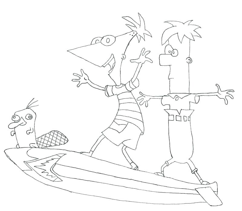 800x697 The Platypus Coloring Pages Platypus Coloring Page Duck