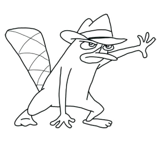 520x455 Perry The Platypus Coloring Pages The Platypus Coloring Pages