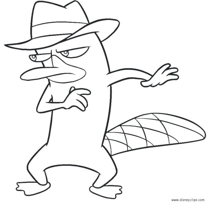 684x672 Perry Platypus Coloring Pages Platypus Coloring Pages