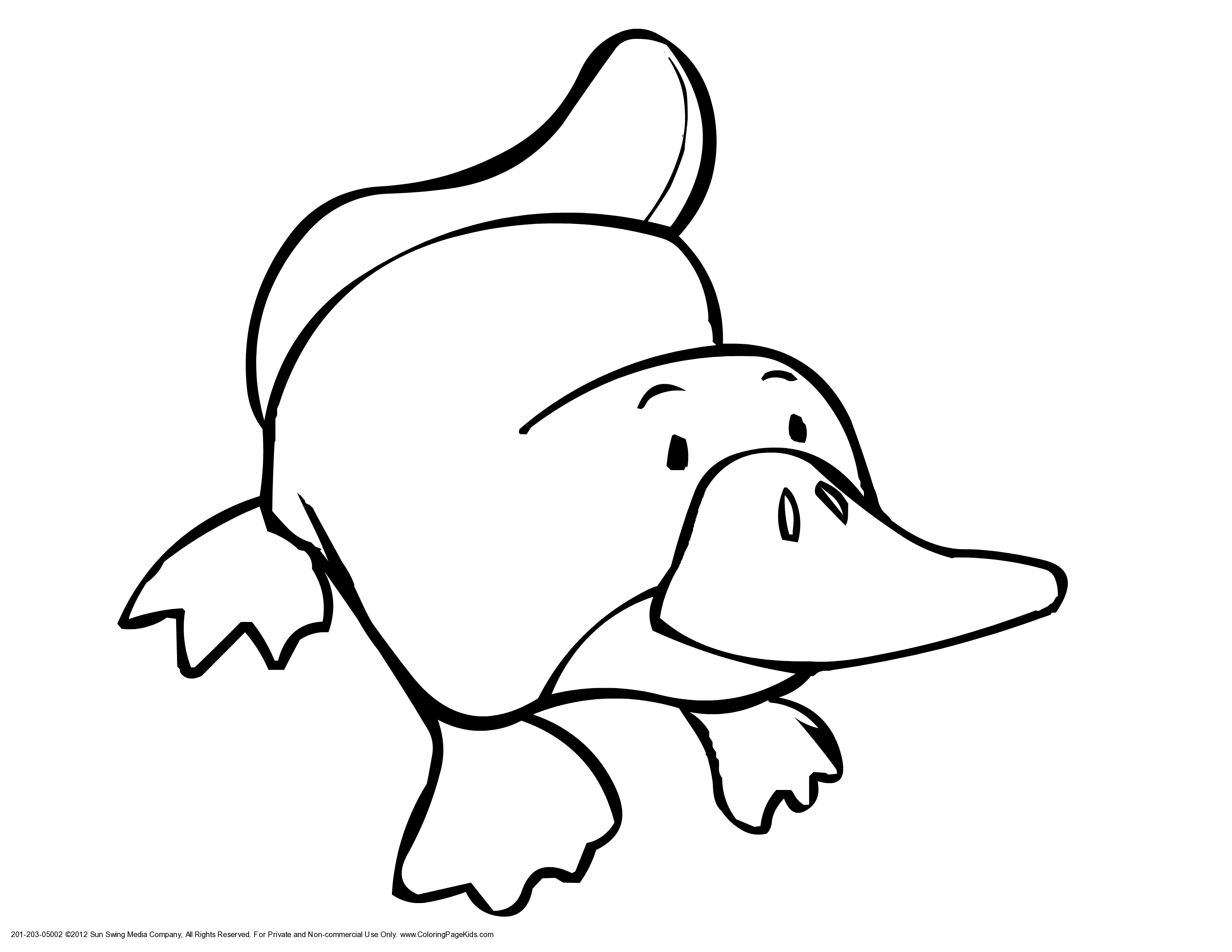 3300x2550 New Platypus Page To Color Collection Printable Coloring Sheet