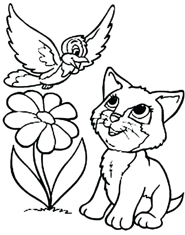 600x763 Cat Color Picture Cat Coloring Pages Free Dogs And Cats Coloring