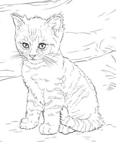 391x480 Cute Kitten Coloring Page