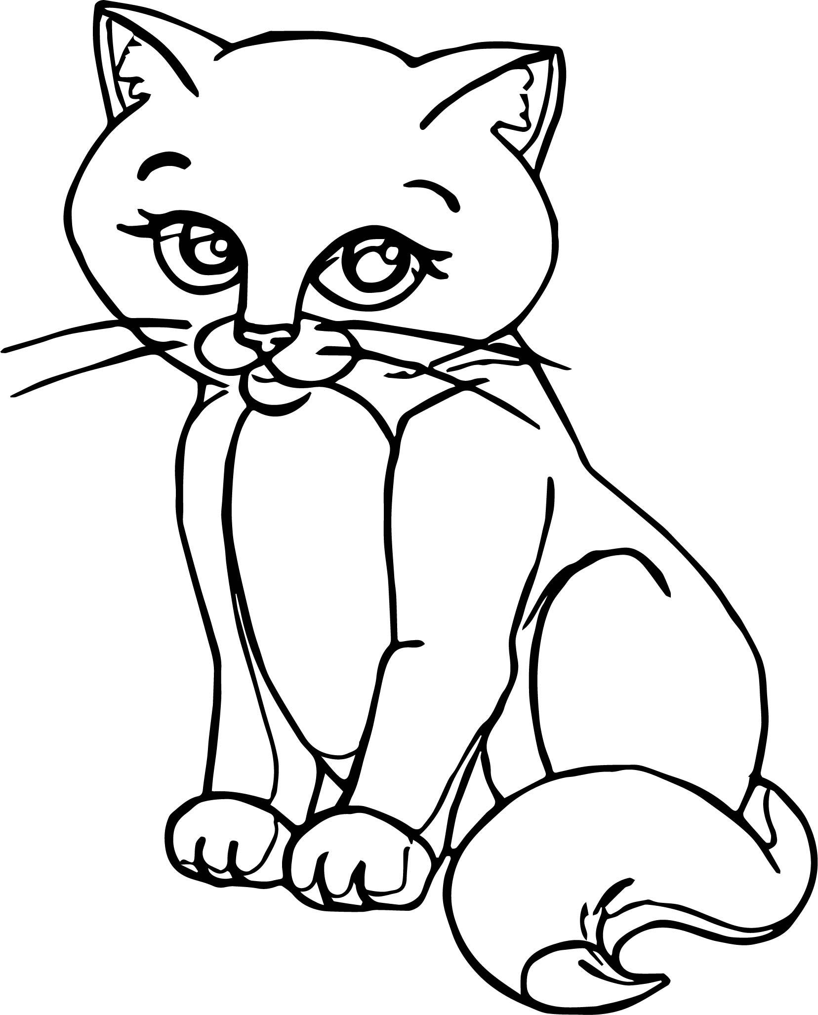 1656x2055 Marvelous Draw And Paint Cat Coloring Page Wecoloringpage Picture