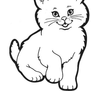 300x300 Coloring Pages Of Persian Cats Bgcentrum
