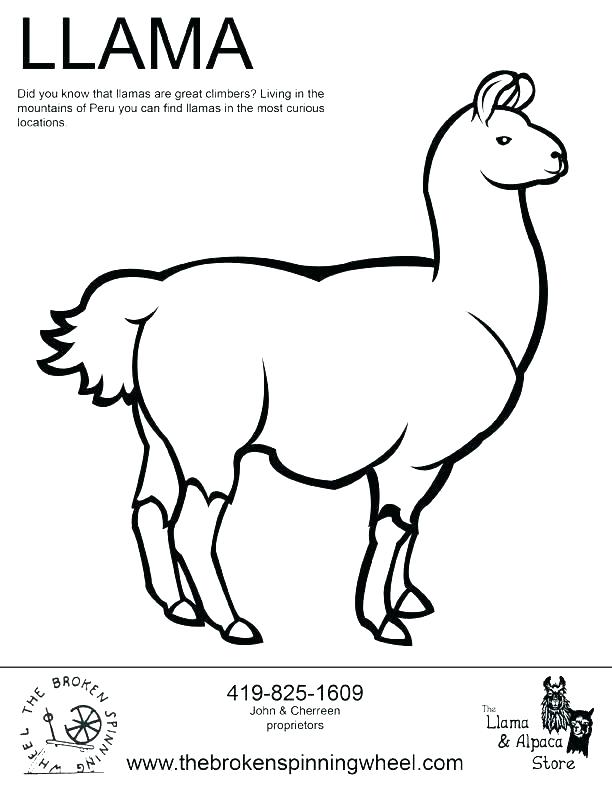 612x792 Alpaca Coloring Pages Llama Coloring Page Alpaca Coloring Pages