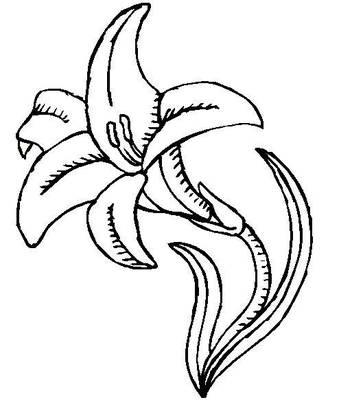 363x400 Food, Decor, Kids Lily Coloring Pages