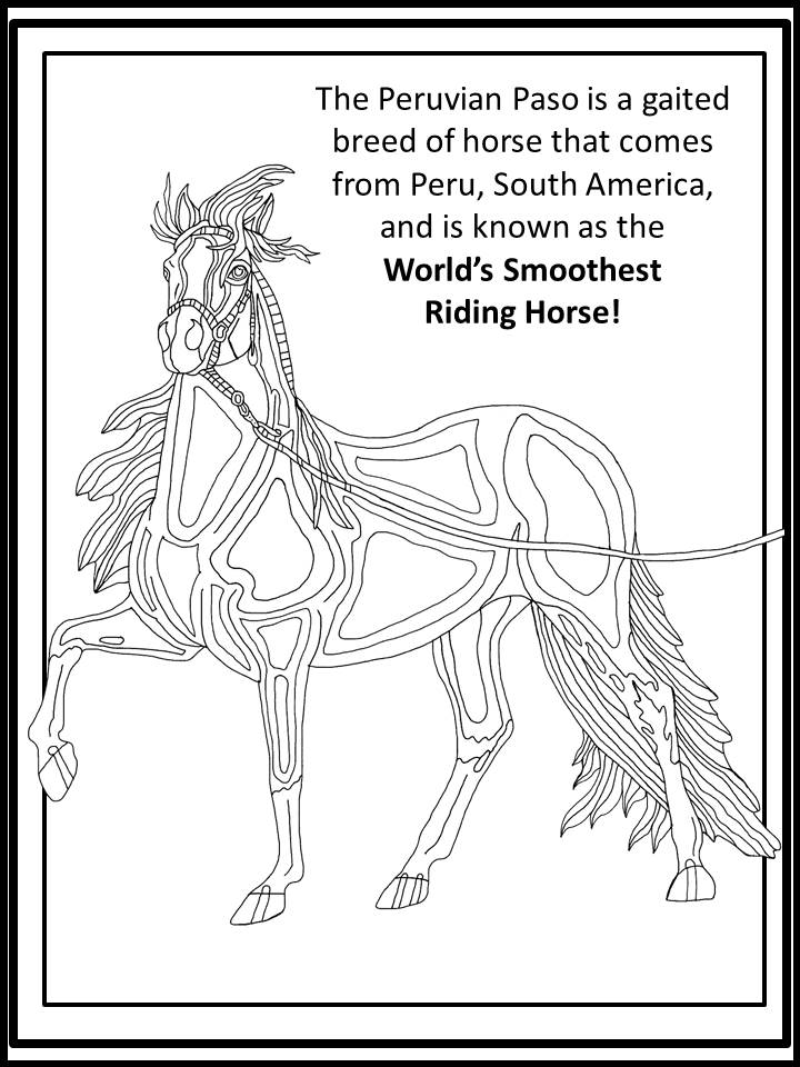 720x960 Homehorse Coloring Books By Steel Ponies Horse Color Books