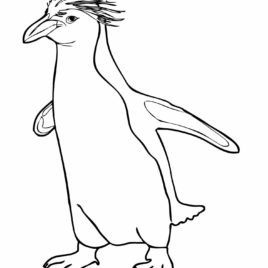 268x268 Coloring Page Macaroni Penguin Archives