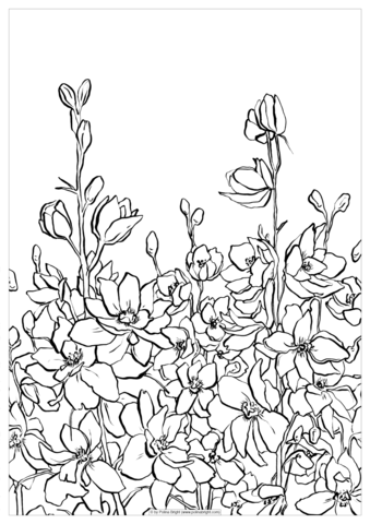 339x480 Coloring Pages Polina Bright Art