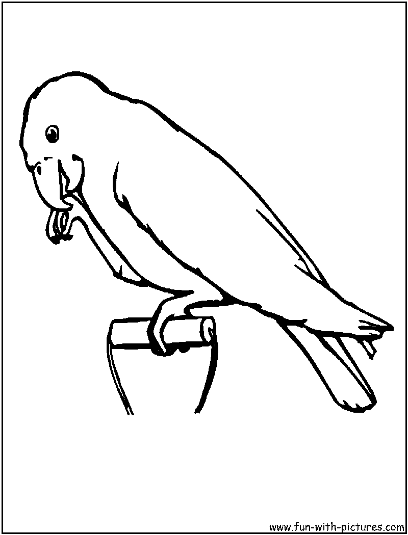 800x1050 Pet Animals Coloring Pages