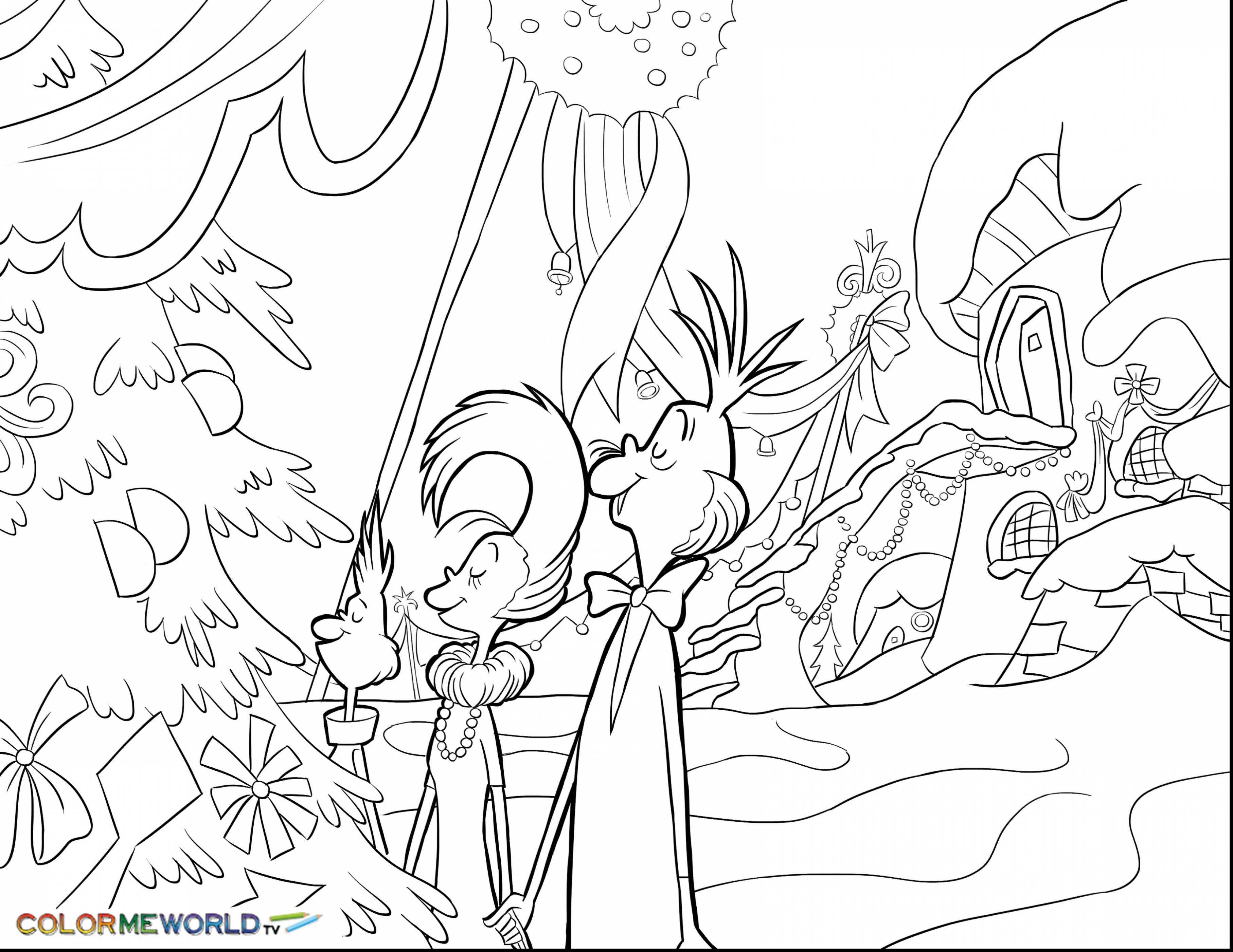 3630x2805 Pet Shop Coloring Page For Kids Animal Coloring Pages Printables