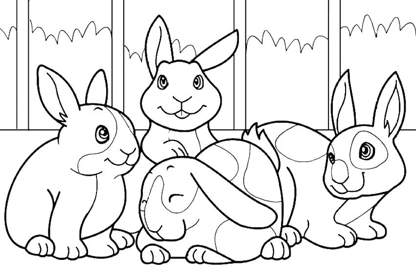 850x567 Coloring Pages Bunny Peter Cottontail Coloring Pages Bunny Rabbit