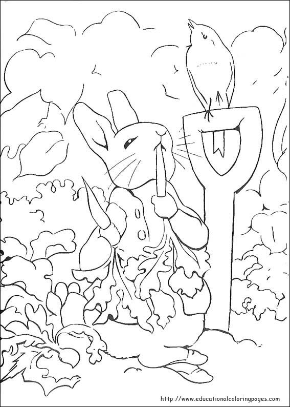 567x794 Peter Rabbit Coloring Pages
