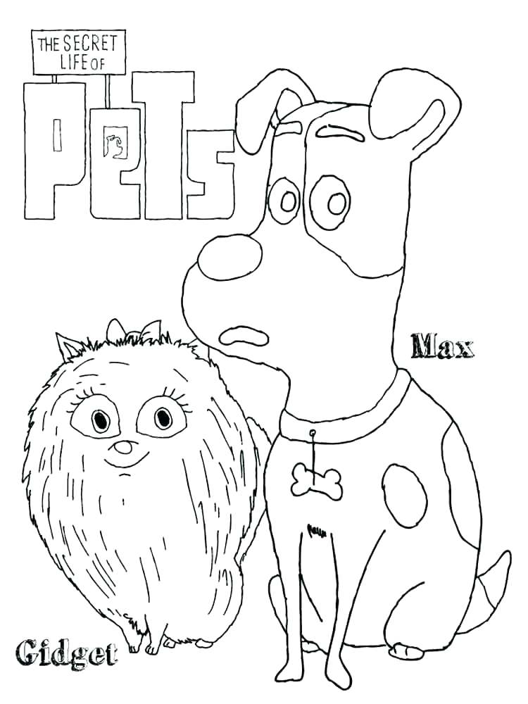 750x1000 Secret Life Of Pets Free As Well As The Secret Life Of Pets Secret