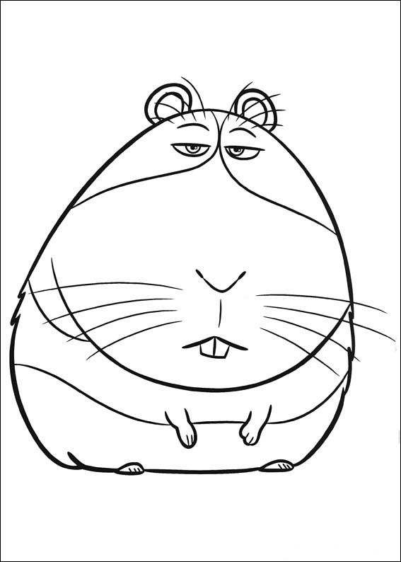567x794 The Secret Life Of Pets Coloring Pages 10 Secret Life Of Pets