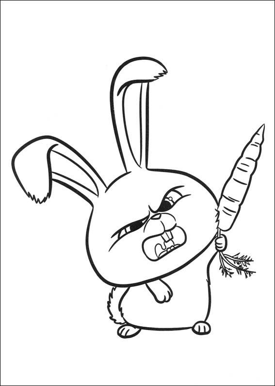 567x794 The Secret Life Of Pets Coloring Pages 32 Baby Checklist