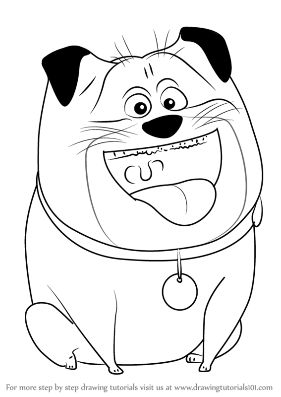 567x800 Learn How To Draw Mel From The Secret Life Of Pets (The Secret
