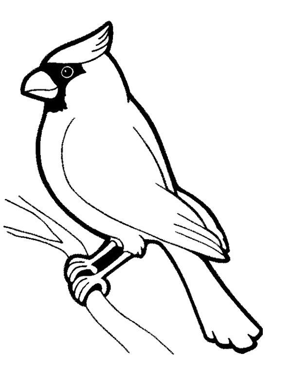 600x751 Images Of Birds To Color Fresh Pheasant Coloring Pages