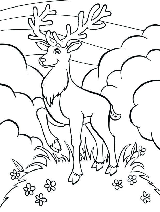 618x818 Pheasant 17 Enchanting Deer Hunting Coloring Pages Free Printable