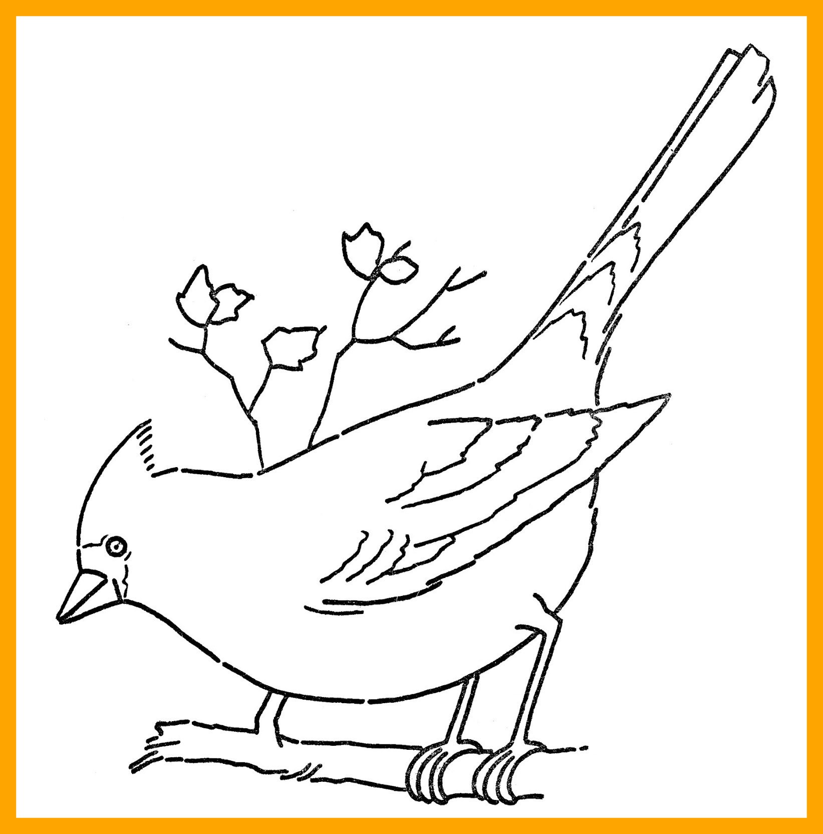 1643x1664 Unbelievable Pheasant Coloring Pages Bird Coloringpages Pic