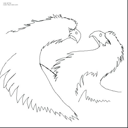500x500 Philadelphia Eagles Coloring Pages