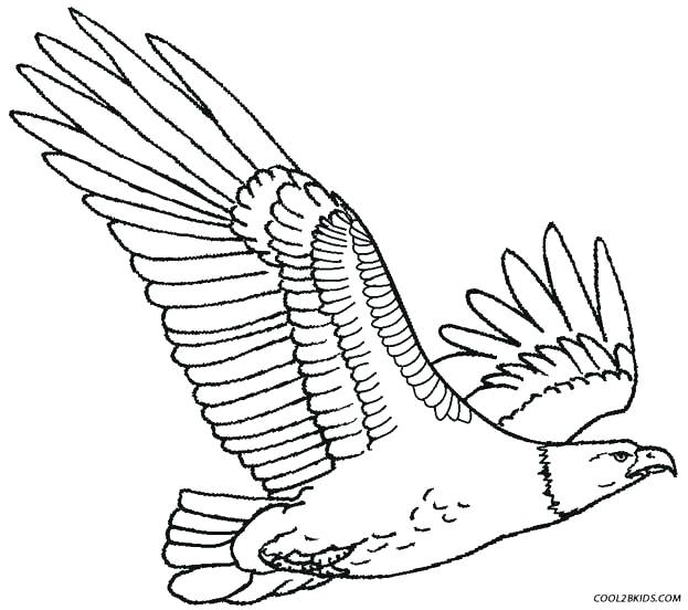 623x552 Philadelphia Eagles Coloring Pages Coloring Page Of An Eagle Eagle