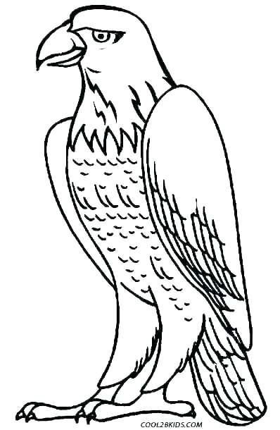 398x610 Philadelphia Eagles Coloring Pages Printable Of Eagle A Head Pag