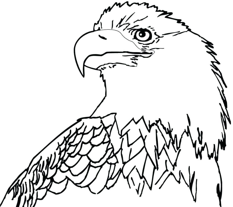 940x836 Printable Pictures Of Eagles Printable Bald Eagle Coloring Pages