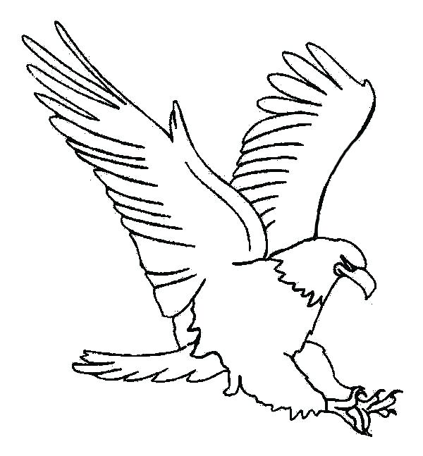 600x647 Top Free Printable Eagles Coloring Pages Eagles Coloring Page