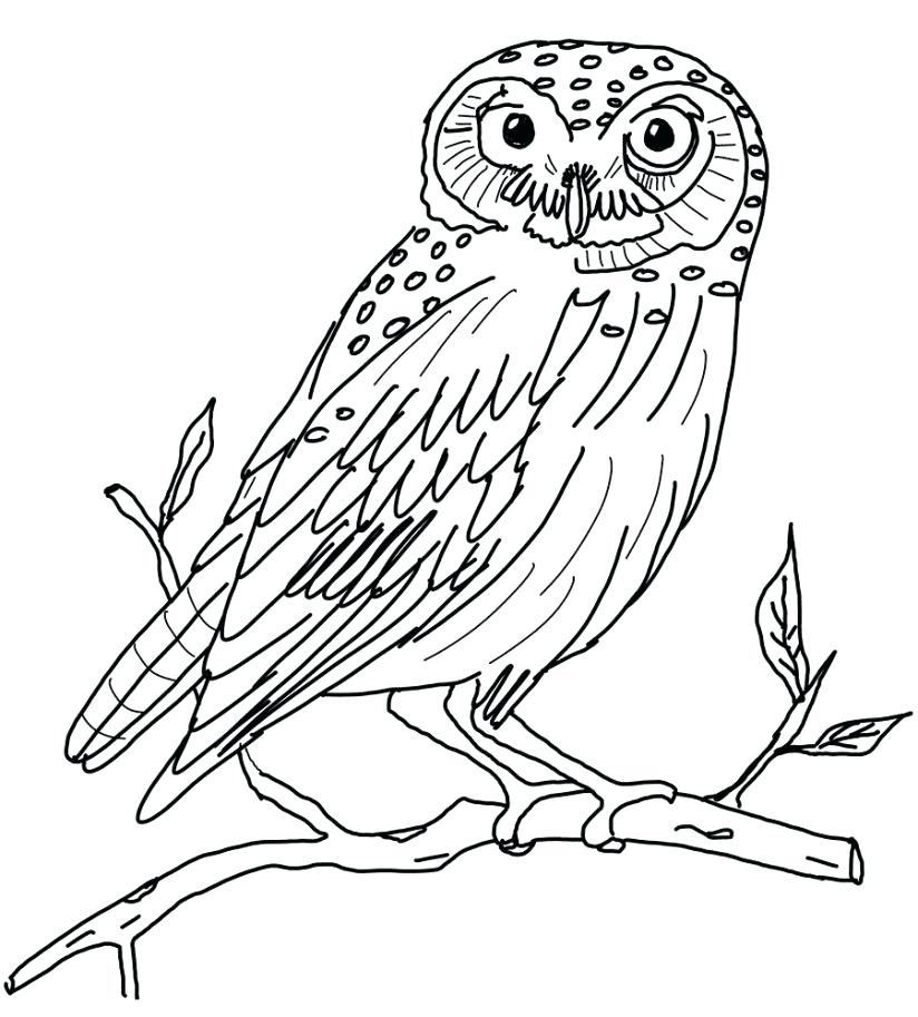 824x913 Philippine Flag Coloring Page Flag Coloring Page Flag Coloring