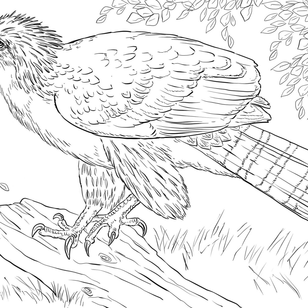 Philippines Coloring Pages
