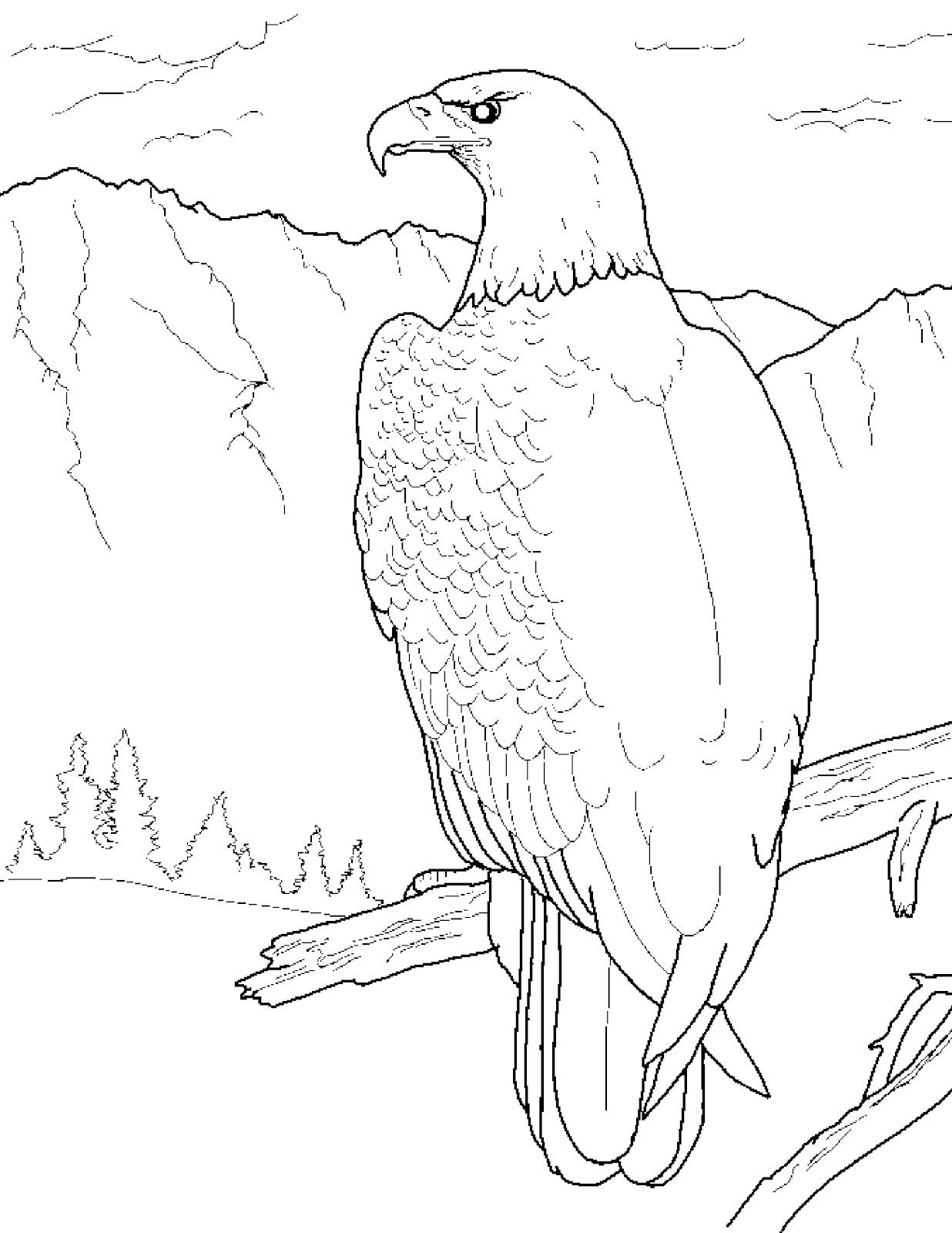 1236x1600 Imagination Harpy Eagle Coloring Page Philippine Free Printable